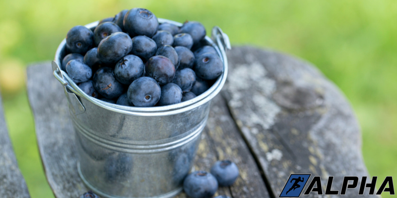 blueberries1